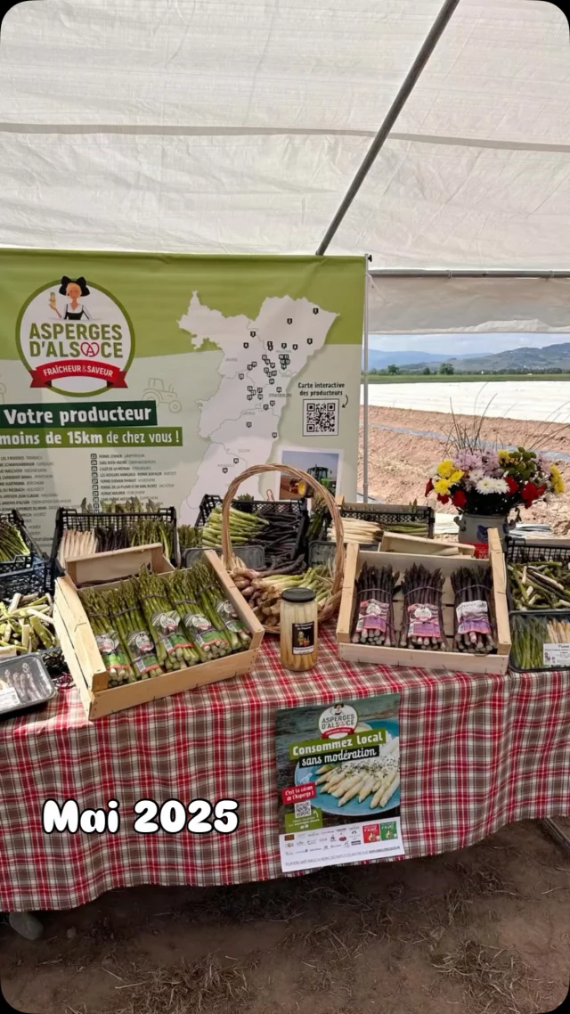 Un mois de mai vraiment... gourmand 🙄

🔥Round 2 pour les @asperges.alsace ! On remet le couvert avec une nouvelle conférence de presse autour des 3 couleurs d’Asperges. À la carte : les créations de 3 chefs de renom, une ambiance chaleureuse et un barbecue convivial !

📸 Captation d’image au restaurant @leburestubel à l’occasion de l’Assemblée générale 2025 des Étoiles d’Alsace.

✅ Des nappes 100% personnalisées qui ont fait sensation auprès de notre client @le_gaveur_du_kochersberg !

 🎨 Une création graphique gourmande et pleine de pep’s pour ce document d’aide à la vente en 4 pages chez @csm_ingredients_france !

🤝 C’était une rencontre qui tombait sous le sens avec l’incroyable Gigi de @gigi_et_toto_en_alsace6768 avec qui nous avons passé un super moment ! 

 🎉 Ambiance aussi stylée que rétro à l’inauguration du @hollysdiner_strasbourg, aux côtés de nos partenaires et copains de chez @noiizy_news .

Et vous, votre mois de mai, il avait quel goût ? 😄

#viedagence #agencedecommunication #strasbourg #aspergesdalsace #restauration #terroir #wikfactory #wikteam